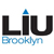 LIU Brooklyn Logo